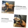 TOGEVAL Pet Clothing with Leash Set view 4