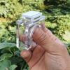 Feeding Bowl for Jumping Spiders view 4
