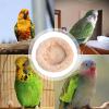 Cotton Bird Nest for Parrots view 4