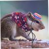 BELLIFFY Lizard Cloak with Adjustable Hat for Small Pets view 3