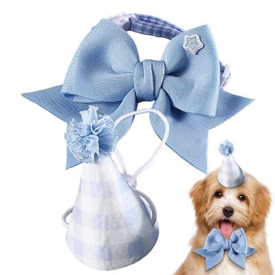 Birthday Hat for Cats