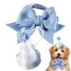 Birthday Hat for Cats view 1