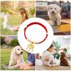 New Year Pet Collar with Gold Lock or Bell, Adjustable view 4