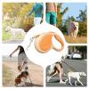 Retractable Dog Leash for Small Dogs view 4