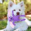 Plush Dog Chew Toy with Squeaker view 2