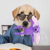 Plush Dog Chew Toy with Squeaker view 3