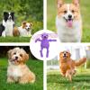 Plush Dog Chew Toy with Squeaker view 4