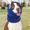 Calming Hoodie for Dogs view 2