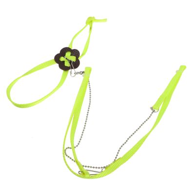 COLLBATH Reptile Leash for Turtles and Lizards