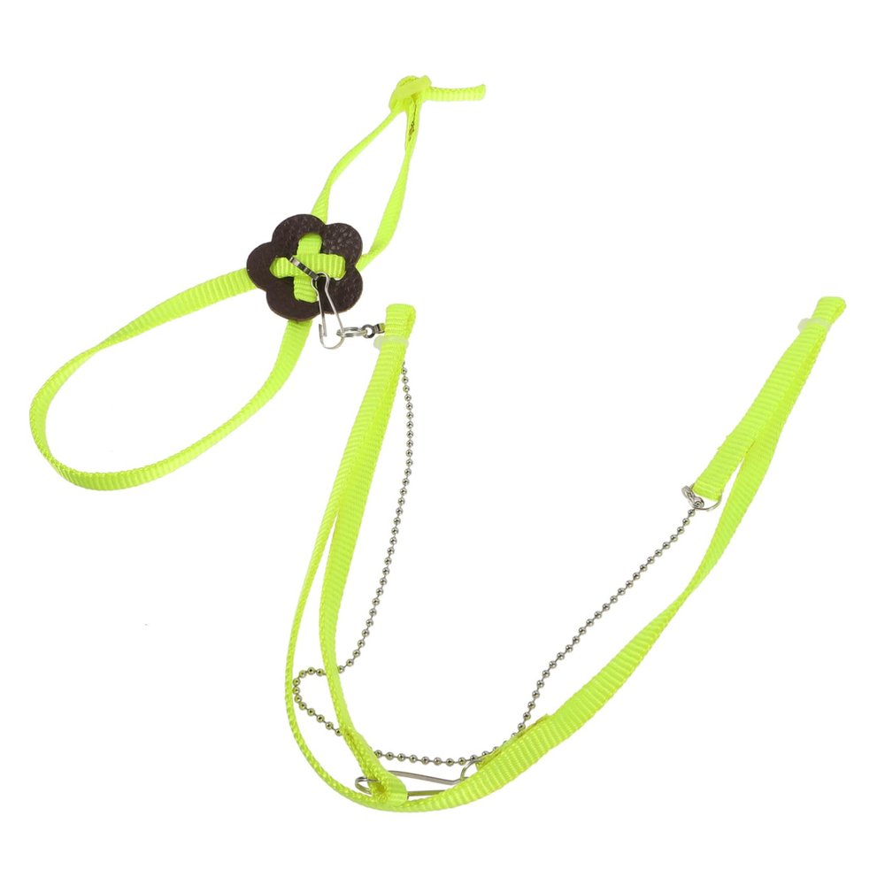 COLLBATH Reptile Leash for Turtles and Lizards