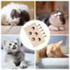 Interactive Cat Toy, Moving Mouse Puzzle, Motion Play view 4