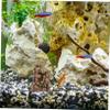 BUGUUYO Aquarium Stone Ornament view 4