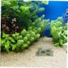 BUGUUYO Reptile Hideout view 4