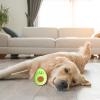 Durable Avocado Dog Toy view 3