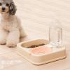 2-in-1 Cat Food and Water Bowl Set view 2