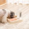 2-in-1 Cat Food and Water Bowl Set view 3