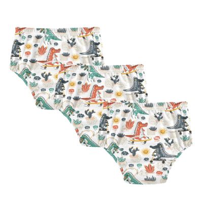 Potty Training Underwear for Little Girls, Leak-Resistant, 4T, Cute Crocodile Skateboard