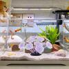 Aquarium Silicone Coral - Shiny Artificial Coral Decor view 3