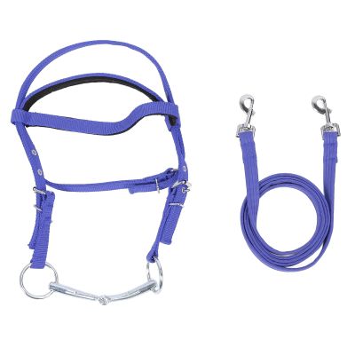 Fockety Horse Bridle, Adjustable Nylon Headstall with Reins, Small