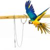 Parrot Training Ring view 4