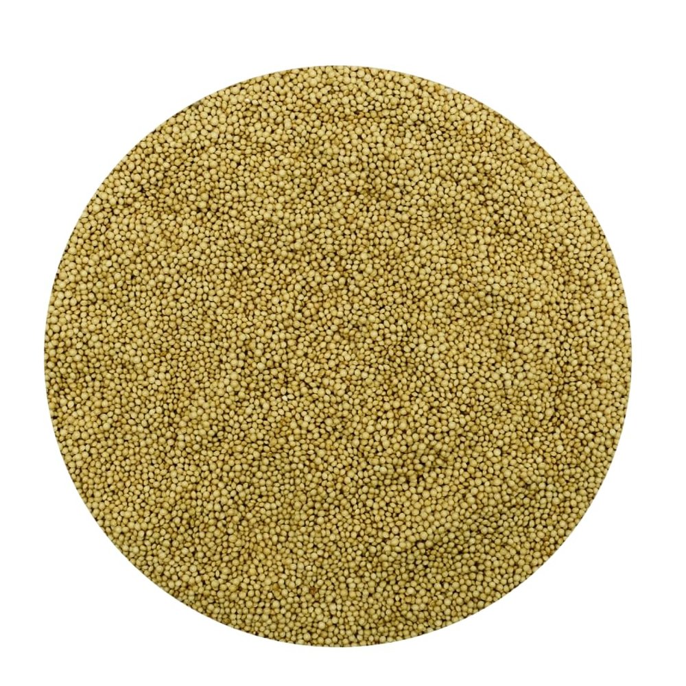 Amaranth Dried Whole Seeds - Amaranthus caudatus L. (50 g)