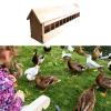JISADER Pigeon Feed Trough Feeder for Quails and Ducklings view 2