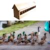 JISADER Pigeon Feed Trough Feeder for Quails and Ducklings view 4