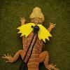 Lizard Harness, Soft Leather, Reptile with Wings view 2