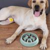 Slow-Feeder Dog Bowl for Small Breeds view 2