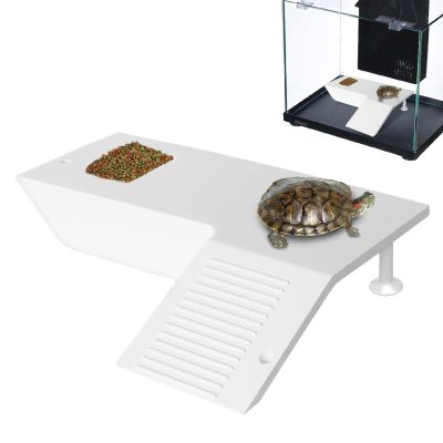 Turtle Sun Platforms & Climbing Area