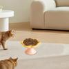 Elevated Flower-Shaped Cat Bowl view 3