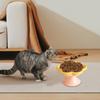Elevated Flower-Shaped Cat Bowl view 4