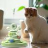 Cat Ball Track Toy - 360° Rotating Turntable view 2