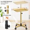 Height-Adjustable Aluminum Salon Trolley, Gold view 3