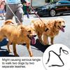Reflective Dual Dog Leash with Elastic Bungee Splitter for Large Dogs view 4