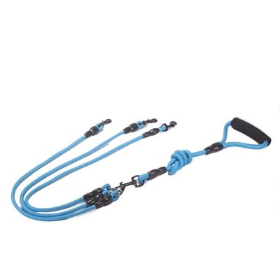 Dual-Head Training Leash for Dogs