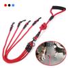 Dual-Head Training Leash for Dogs view 2