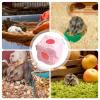 Chinchilla House Warm Small Animal Hammock with Rings view 4