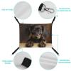 RKJVB Reversible Pet Hammock with Adjustable Straps, Dachshund Print, 42 x 33 cm view 3