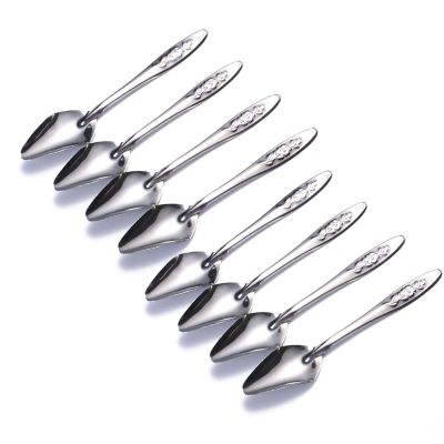 CARISSETT Special Feeding Spoon for Cockatiels and Parrots