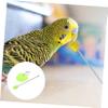 BESPORTBLE Stainless Steel Parrot Food Holder, Fruit Fork and Vegetable Holder for Bird Cages, Multifunctional, Dishwasher-Safe, for Small and Large Birds view 4
