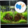 BUGUUYO 2-Piece Betta Fish Mushroom Hammock view 4