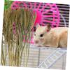 BESPORTBLE Hamster Bedding Decoration with Grains, 1 Pack of Hay view 3