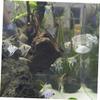 BUGUUYO Acrylic Feeding Cup for Red Worms in Aquariums view 4