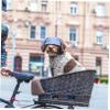 BUGUUYO Dog Hat for Dogs and Cats - Sun Protection Cap view 3