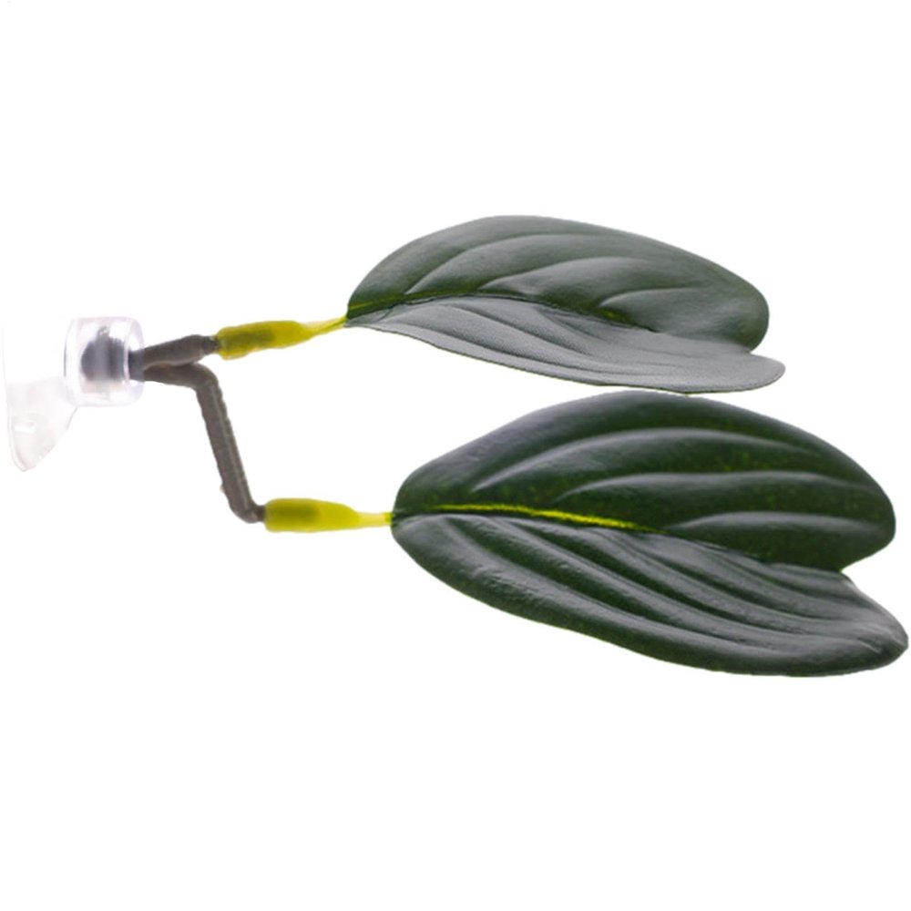 Betta Fish Leaf - Aquarium Resting Leaf