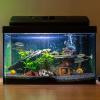 Betta Fish Leaf - Aquarium Resting Leaf view 3
