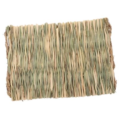 BUGUUYO Cooling Mat for Hamster Beds