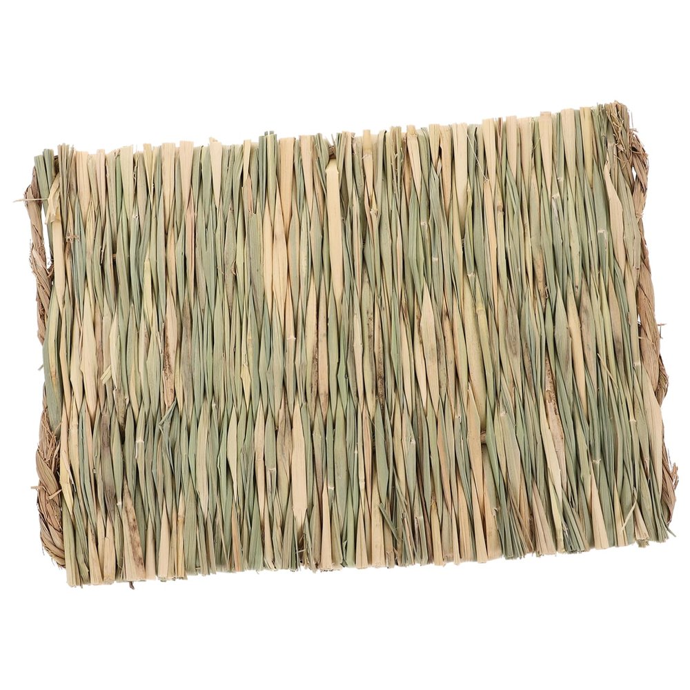 BUGUUYO Cooling Mat for Hamster Beds