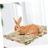 BUGUUYO Cooling Mat for Hamster Beds view 2